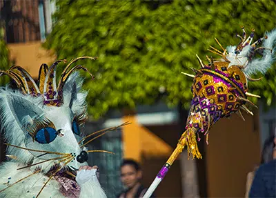 Personne costum&eacute;e en chat princi&eacute;.